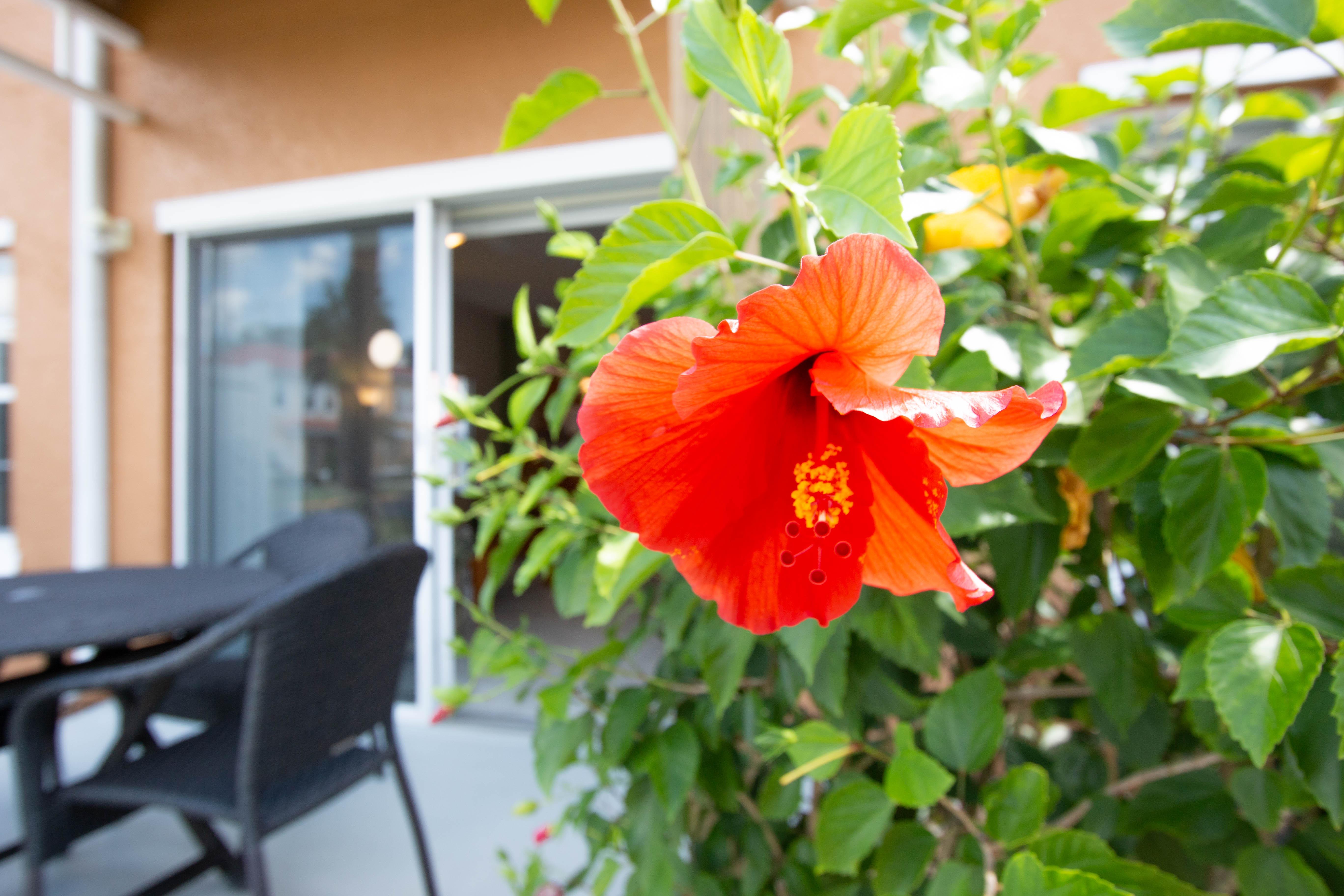 Berkley Lake Townhomes Kissimmee Exterior foto